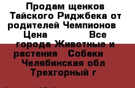 Продам щенков Тайского Риджбека от родителей Чемпионов › Цена ­ 30 000 - Все города Животные и растения » Собаки   . Челябинская обл.,Трехгорный г.